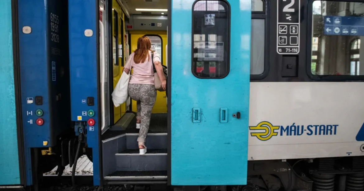 Felsővezetékre dőlt fa miatt késnek a vonatok a ceglédi vonalon