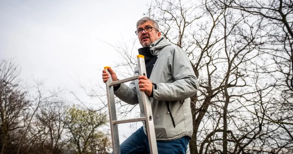 Hadházy tippjei és az NVVH meglepő kezdése