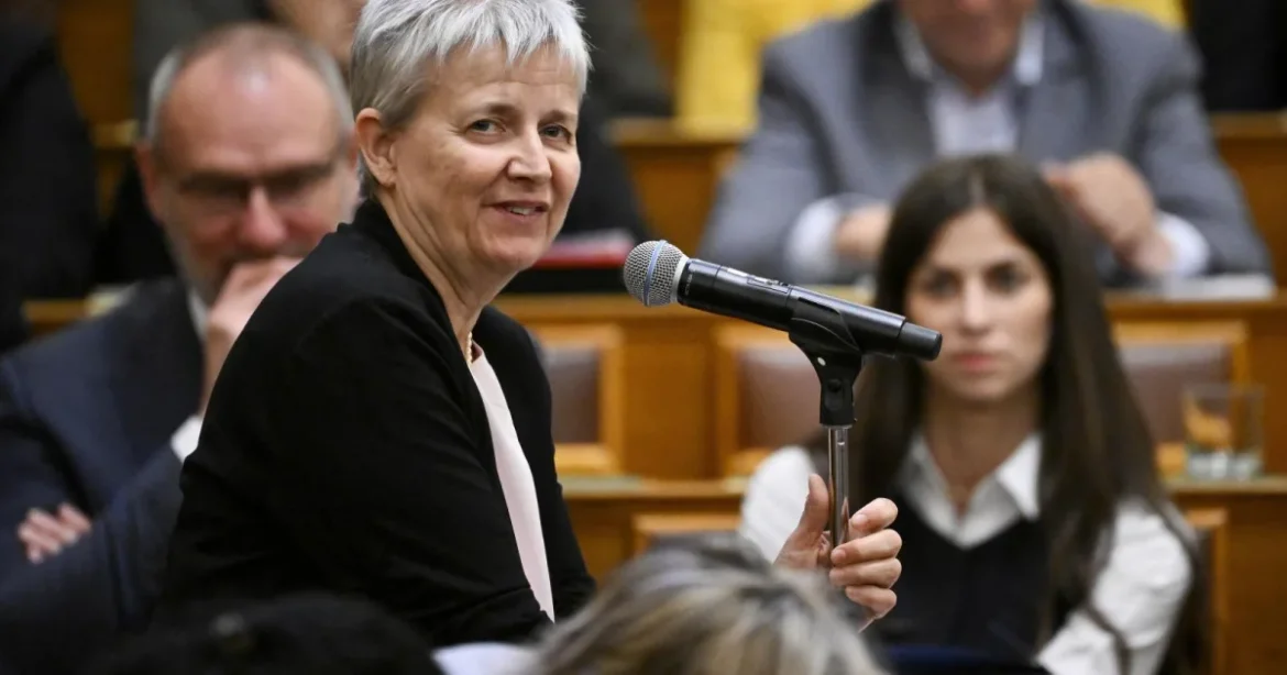 Lannert Judit: az év végére elkészül a magyar oktatás új stratégiája