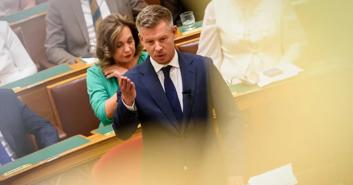Magyar Péter: Szombaton mutatjuk be a gyermekvédelemről szóló jelentést
