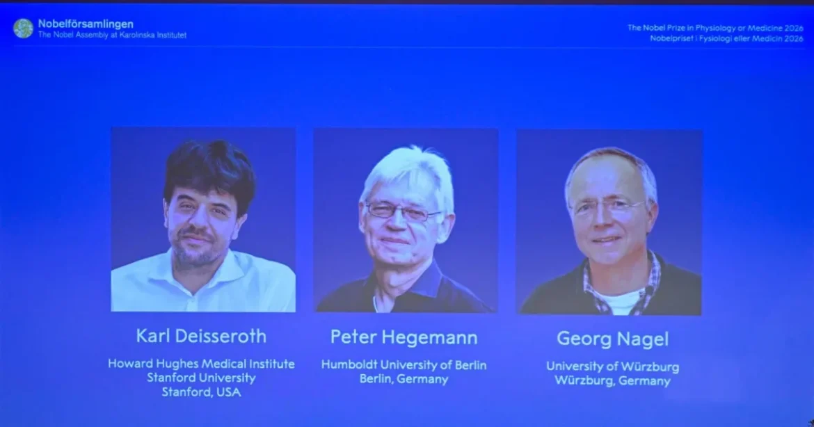 Fénnyel kapcsolják az idegsejteket: három kutató kapta a 2026-os orvosi Nobel-díjat